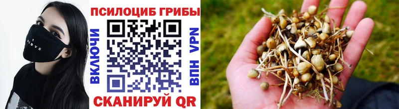 Псилоцибиновые грибы прущие грибы  omg как зайти  Нефтеюганск 